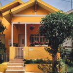 نوین وردپرس